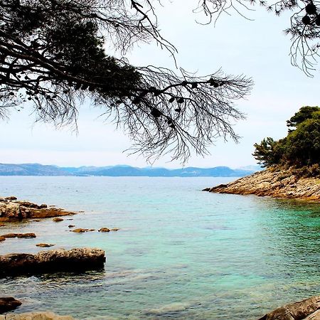 Apartment Marija Mljet 4 Sobra 외부 사진